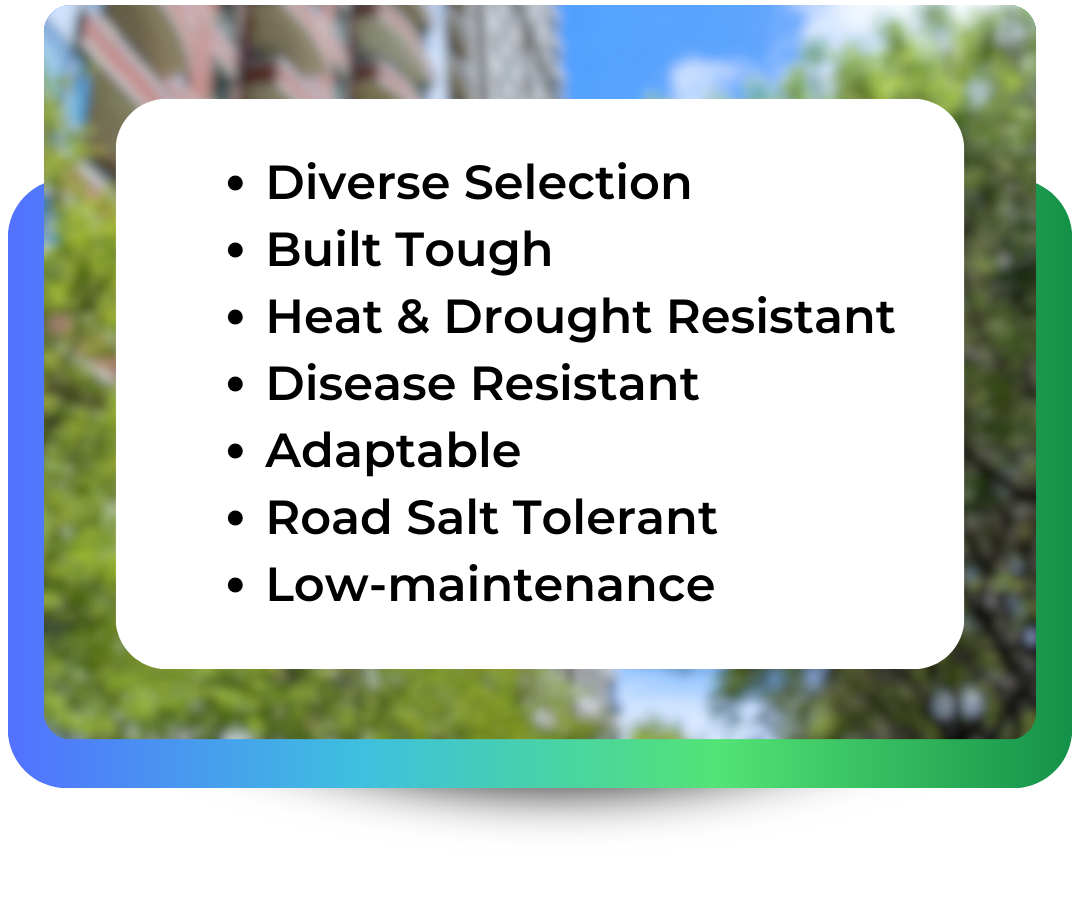 Diverse Selection Built Tough Heat & Drought Resistant Disease Resistant Adaptable  Road Salt Tolerant Low-maintenance